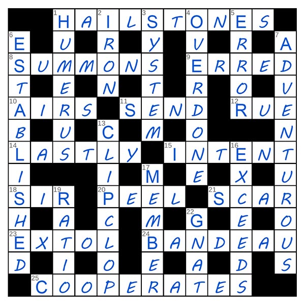 puzzle page challenger 13 june 2025 answer