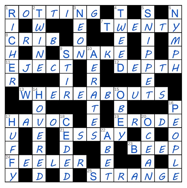 puzzle page challenger 18 may 2025 answer