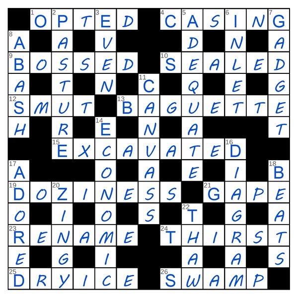 puzzle page challenger 22 june 2025 answer