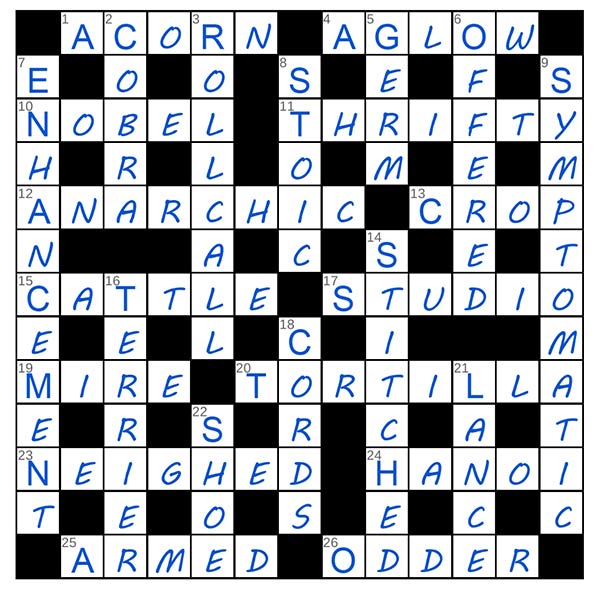 puzzle page challenger 24 august 2025 answer