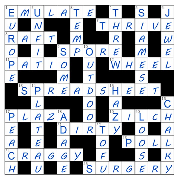 puzzle page challenger 6 june 2025 answer