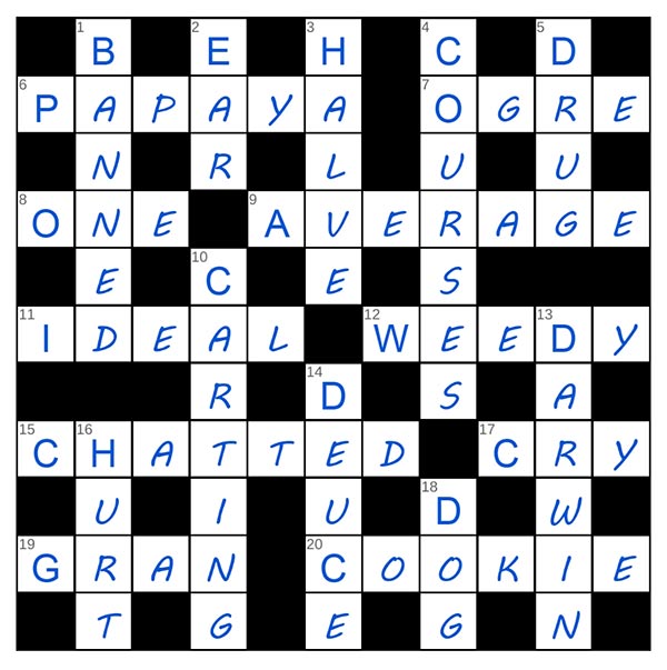 puzzle page crossword 11 june 2025 answer