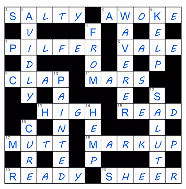 puzzle page challenger 17 july 2025 answer