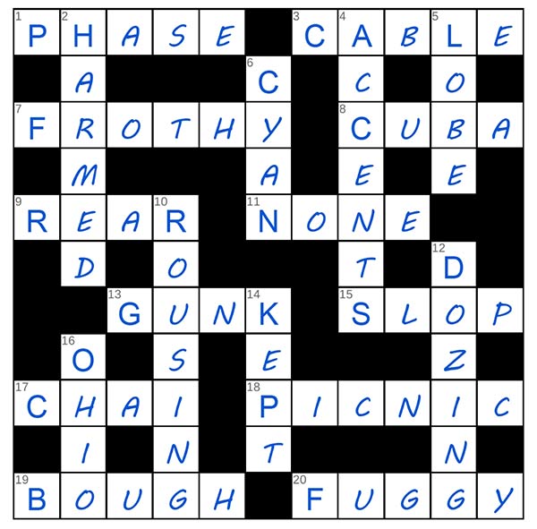 puzzle page crossword 20 august 2025 answer