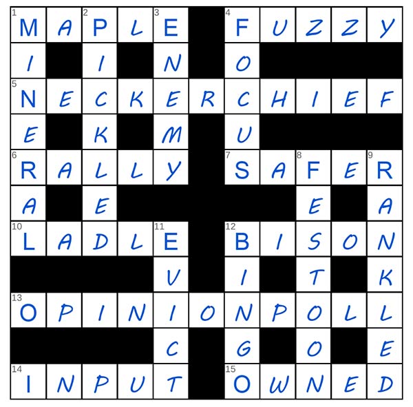 puzzle page crossword 24 july 2025 answer