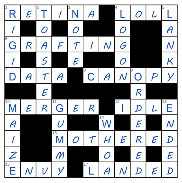 puzzle page crossword 26 june 2025 answer