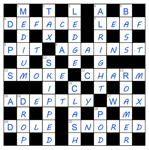 puzzle page crossword 5 july 2025 answer