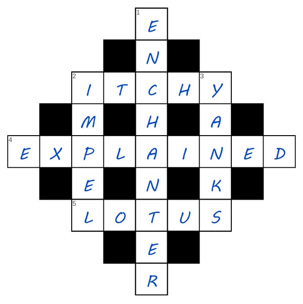 puzzle page diamond 17 may 2025 answer