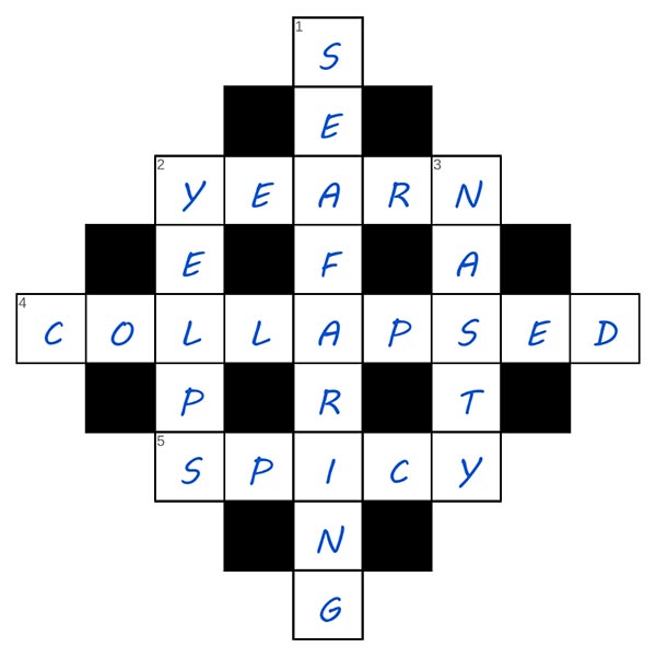 puzzle page diamond 18 june 2025 answer