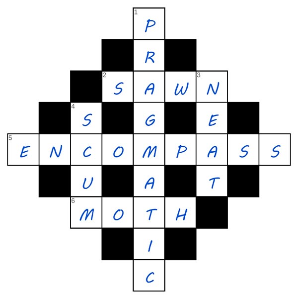 puzzle page diamond 24 may 2025 answer