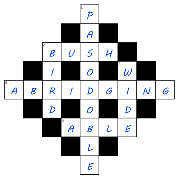 puzzle page diamond 28 june 2025 answer