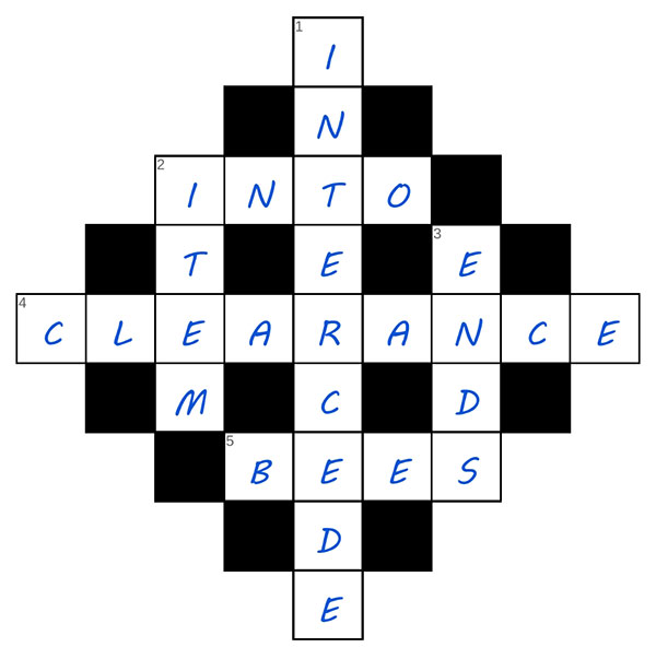 puzzle page diamond 5 july 2025 answer